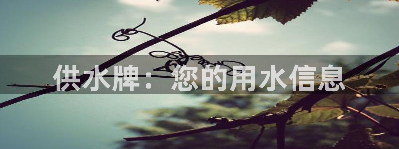 球友会体育app下载官网