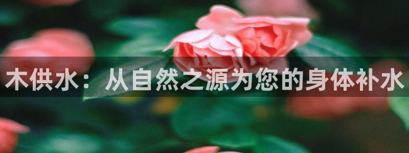 球友会qy