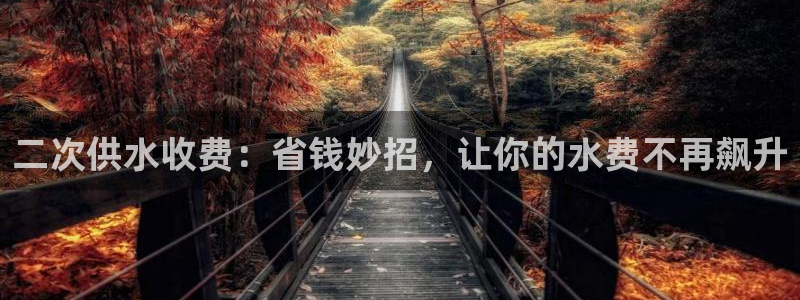球友会app干啥的软件