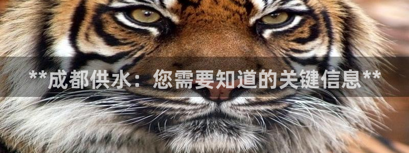 QY球友会体育官方平台