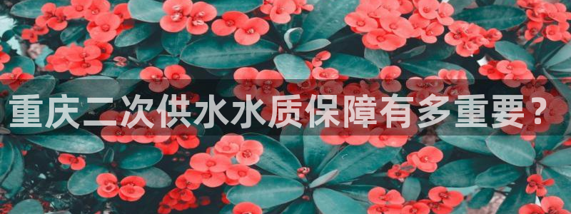 球友会官网入口