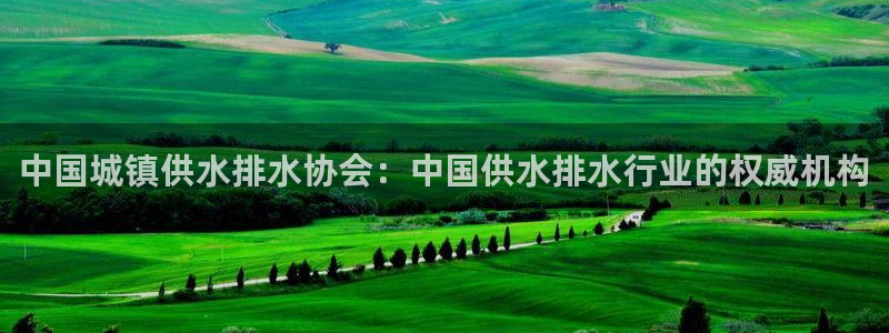 球友会台球俱乐部官网
