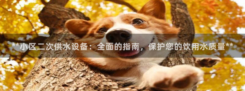 球友会登录网站怎么登录