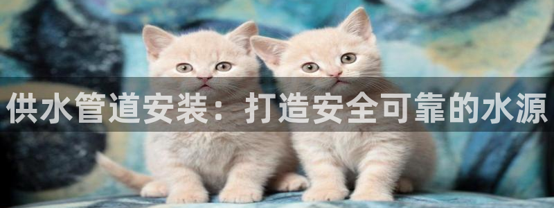 qy球友会体育官下载