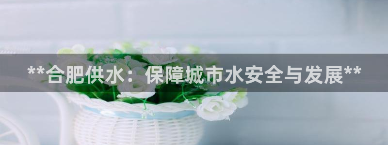 球友会是什么