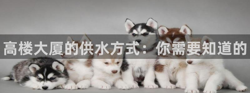 球友会在线登录账号吗安卓