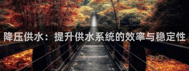 球友会登录不上的原因