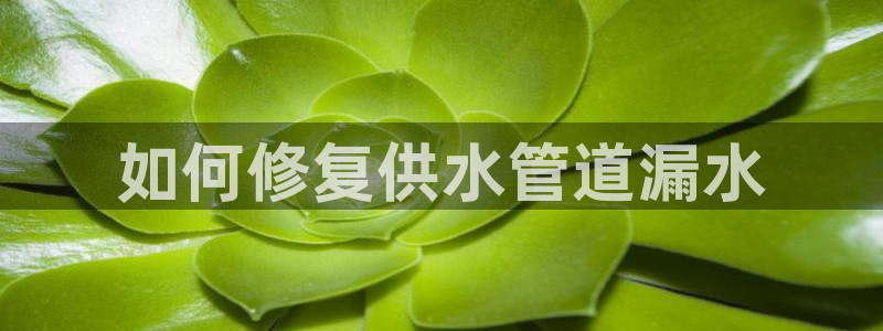 球友会App