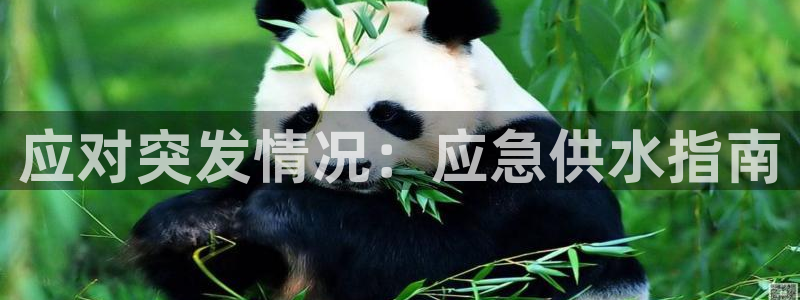 球友会提款审核中