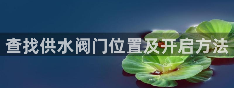 球友会体育app官方版下载安装手机