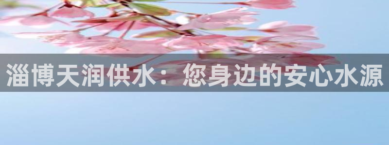 球友会apy