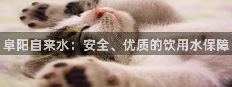 球友会体育app官方版下载安装苹果手机