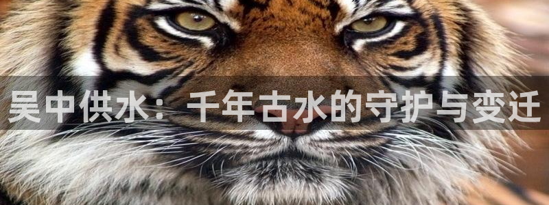 球友会比赛结果查询官网