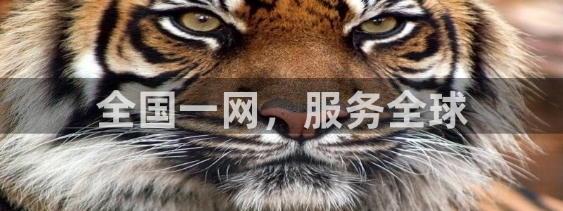 QY球友会体育官网