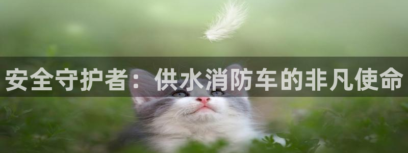 球友会体育app下载官网安卓