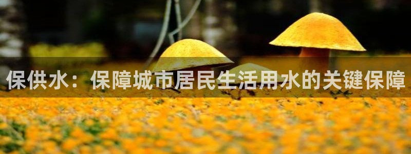 球友会友谊赛7月28日曼联阿森纳