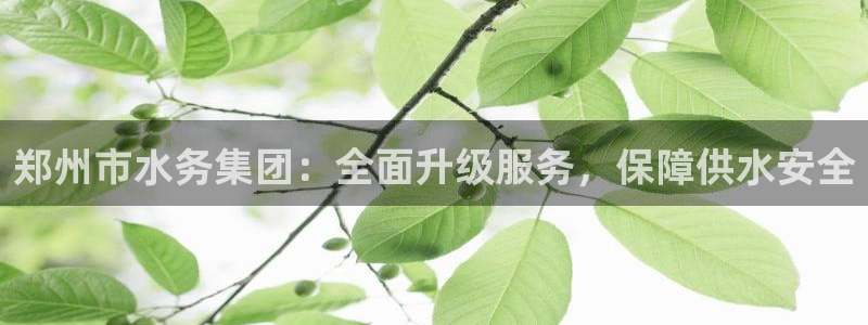 球友会app官网