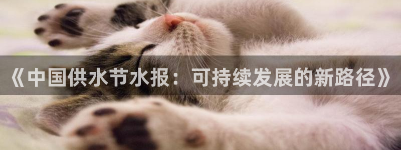 球友会比赛结果查询网站