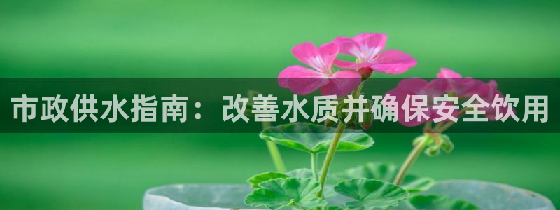 球友会聚餐发言