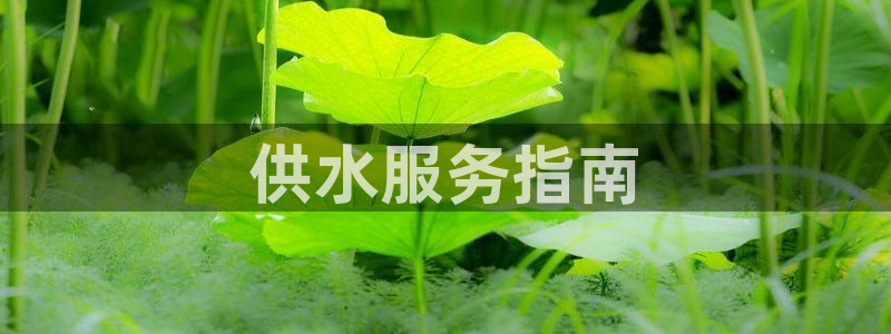 球友会登录网站