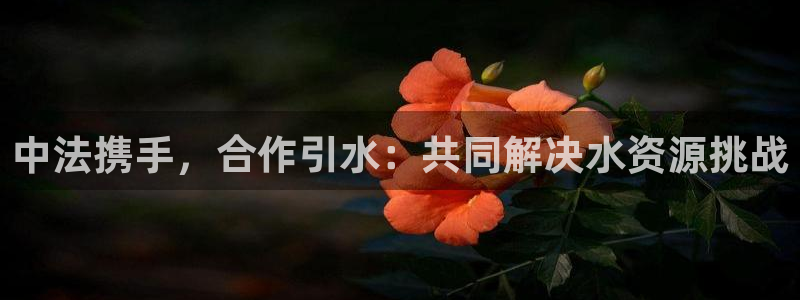 球友会官网登录入口在哪