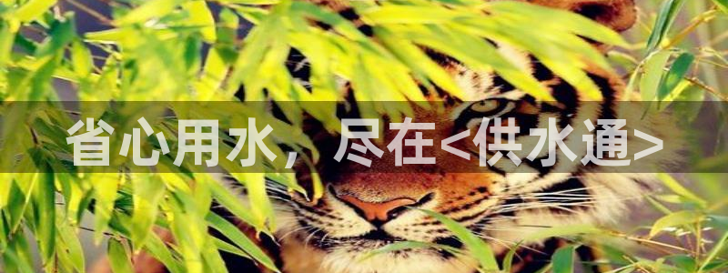 QY球友会体育官方平台