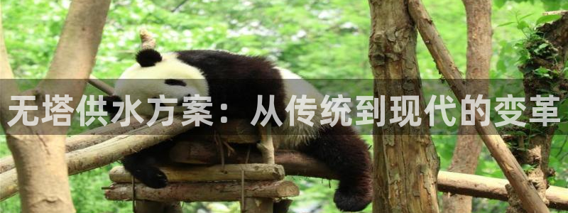 球友会英文怎么说呢翻译