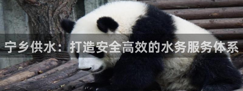 球友会体育app下载安卓手机